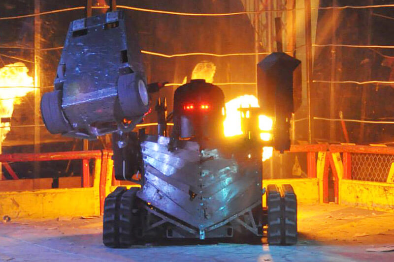 Roaming Robots